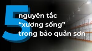 5 nguyên tắc xương sống trong bảo quản sơn Hải Âu