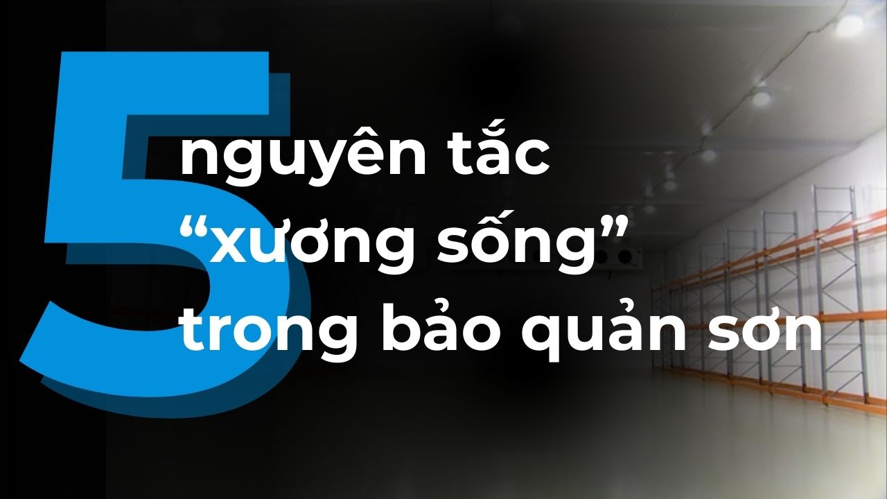 5 nguyên tắc xương sống trong bảo quản sơn Hải Âu