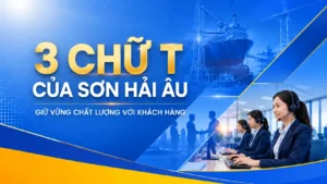3 chữ T của Sơn Hải Âu thumbnail