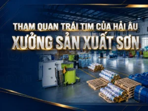 Tham quan xưởng sản xuất sơn hải âu. Thumbnail